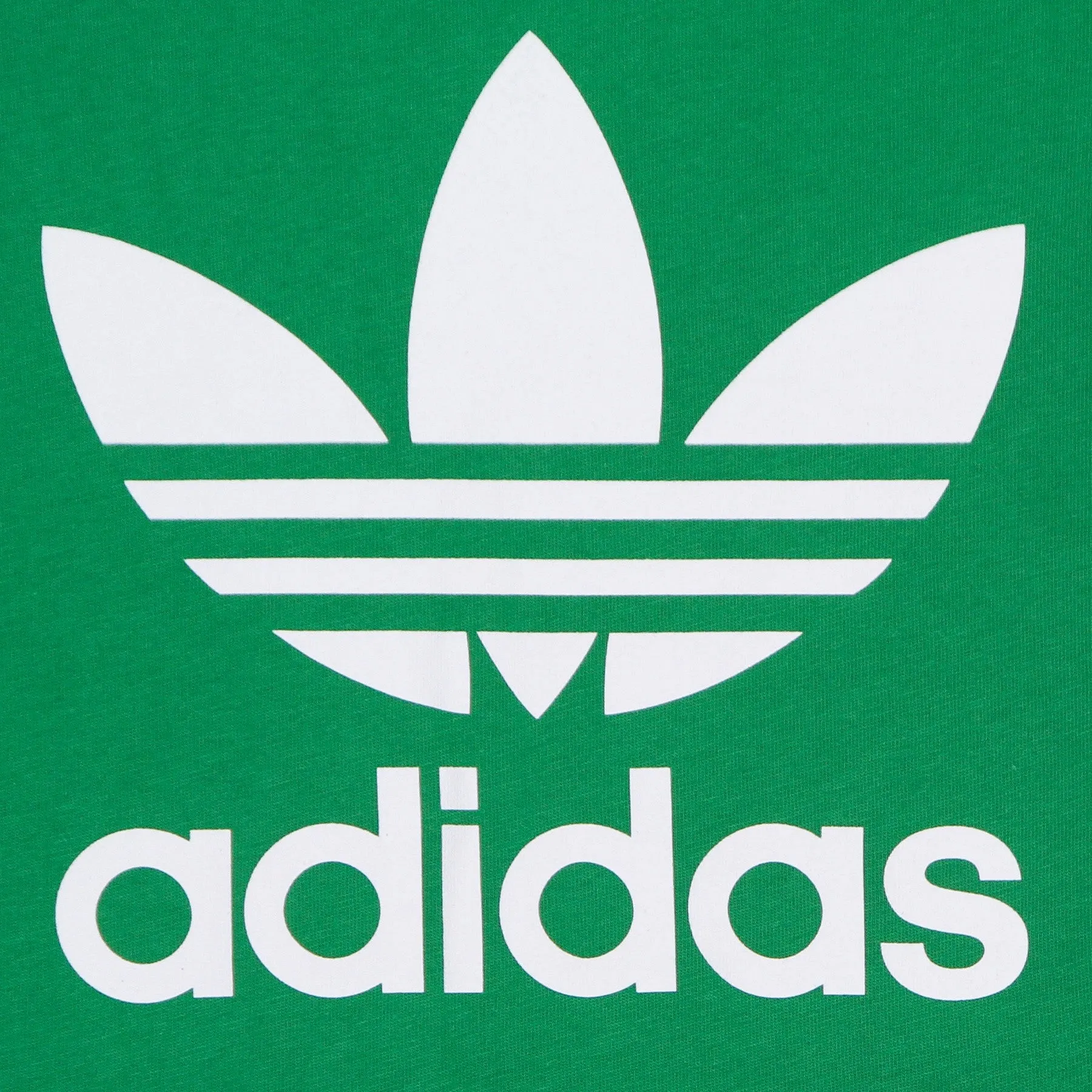 Maglietta Uomo Trefoil Tee Green/white