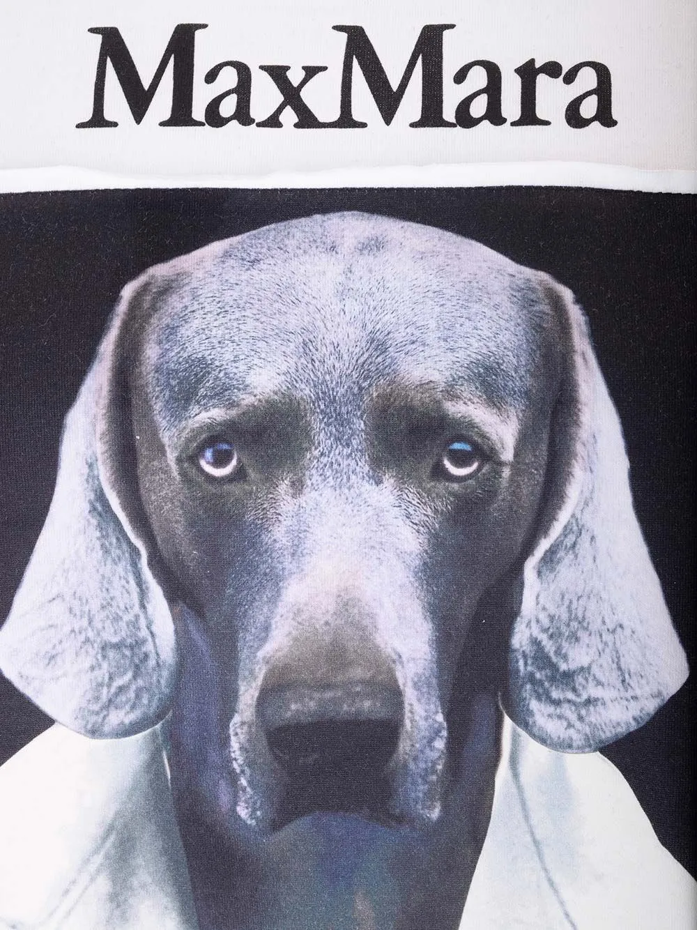  Max Mara  T-shirt in jersey con stampa  